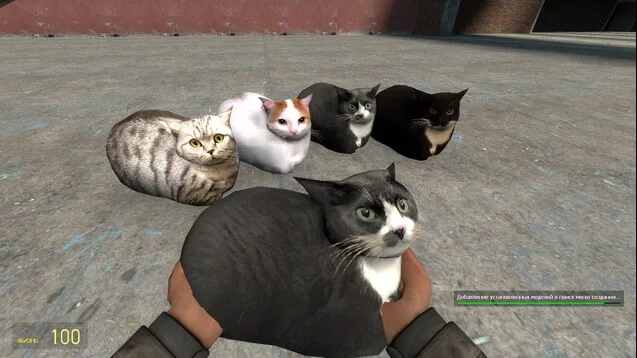 Garry's Mod "Коты компаньоны"