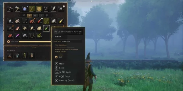 RuneScape Dragonwilds