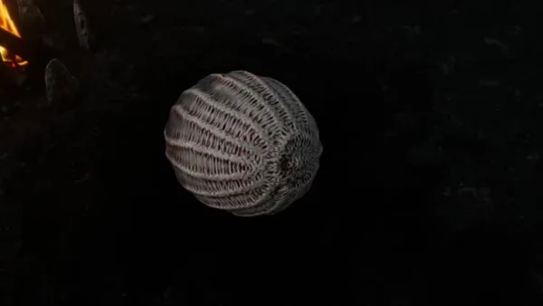 Таинственное яйцо в Tainted Grail: The Fall of Avalon - где найти и что с ним можно сделать