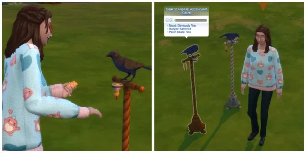 Как завести и ухаживать за вороном в The Sims 4