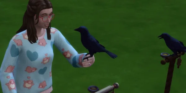 Как завести и ухаживать за вороном в The Sims 4