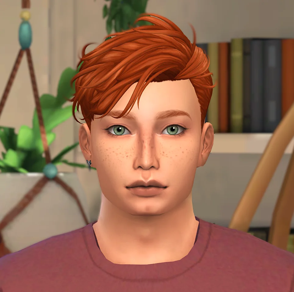 The Sims 4 "Персонаж - Дрейк"